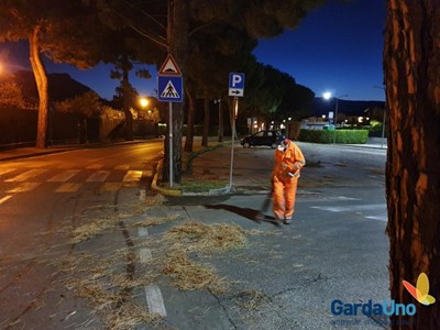 /media/10019/garda-uno-igiene-urbana-dopo-la-tempesta-agosto-2019-003.jpg