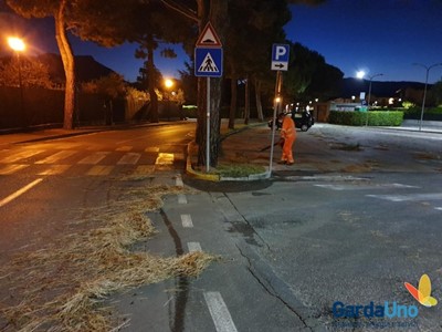 /media/10020/garda-uno-igiene-urbana-dopo-la-tempesta-agosto-2019-004.jpg