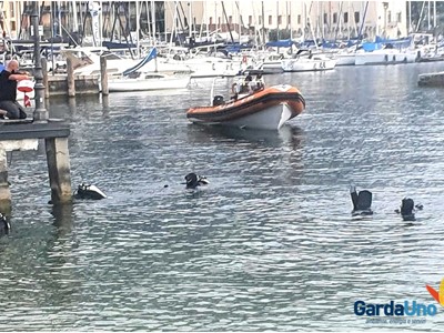 /media/12239/pulizia-fondali-garda-uno-a-fianco-di-sea-shepherd-dive-e-del-comune-di-salo_009.jpg