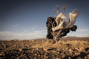 Eduardo Leal 'Plastic Trees' - La plastica danneggia gli splendidi paesaggi dell'Altipiano boliviano