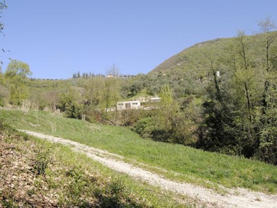/media/1233/dsc0102-p25.jpg
