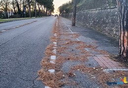 Interventi dopo il maltempo nel Comune di Desenzano del Garda