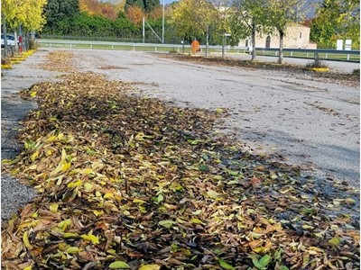 /media/15445/garda-uno-igiene-urbana-spazzatrici-raccolgono-foglie-in-autunno_018.jpg