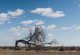 Entra nel vivo il progetto Life SalvaGuARDiA, tante iniziative all’insegna della sostenibilità e della bellezza