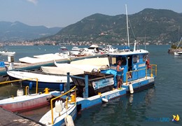 Collaborazione, lavorare in team