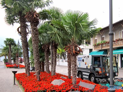 /media/3455/garda_uno_igiene_urbana_219.jpg
